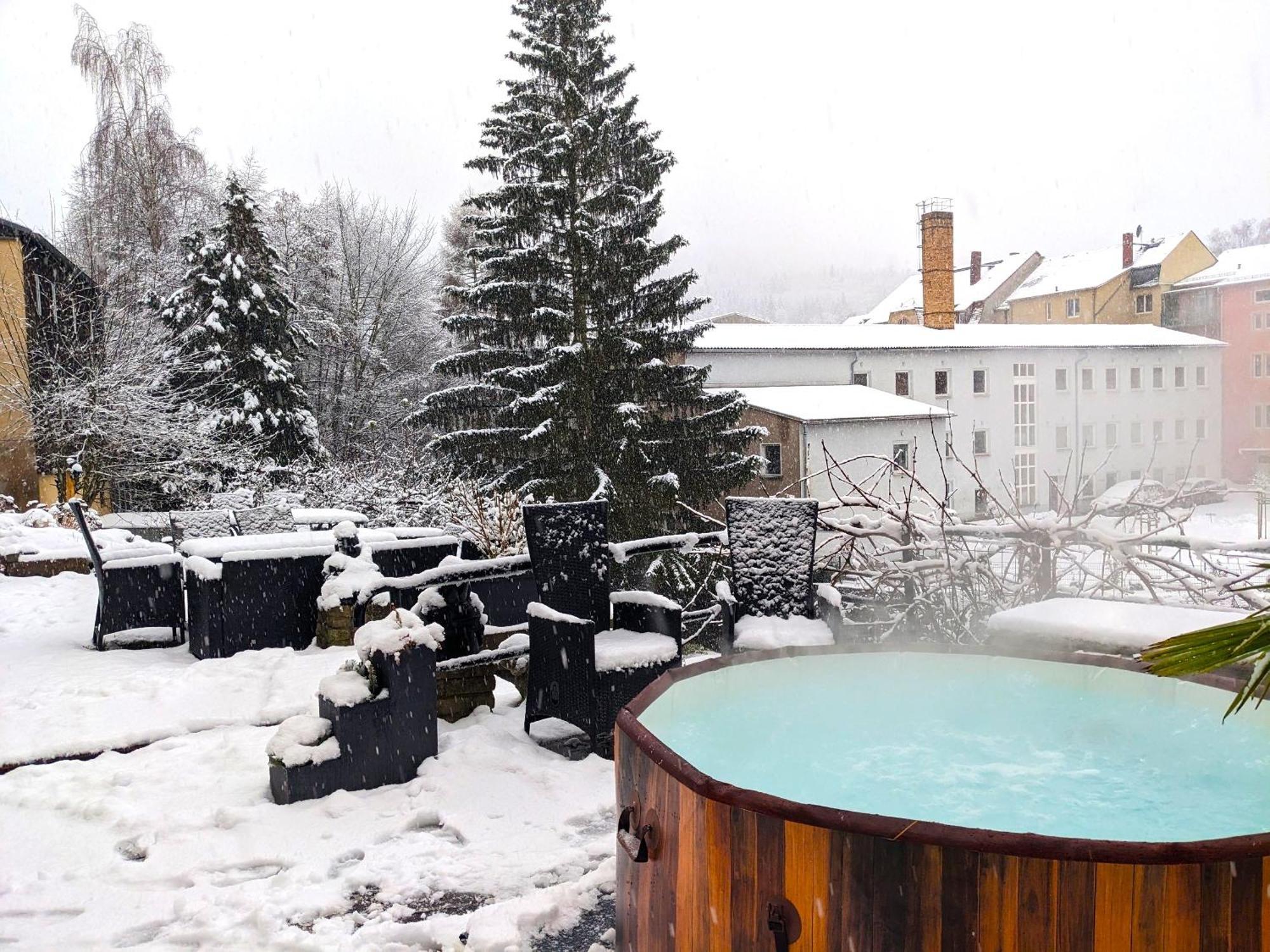F2 - Urlaubsmagie Sauna, Whirlpool, Pool & Garten Sebnitz Extérieur photo